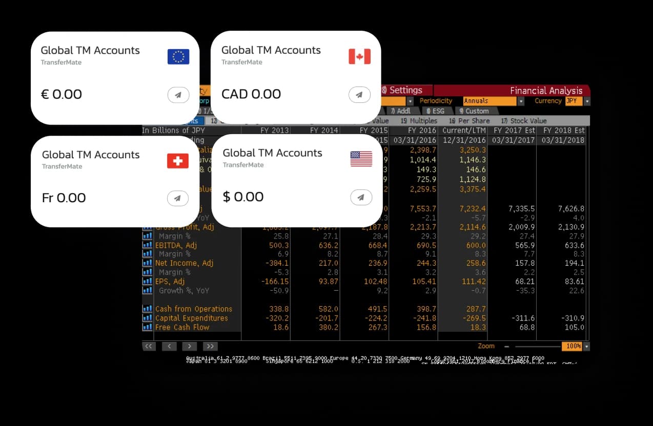 Solutions for Treasury Manager | Fyorin